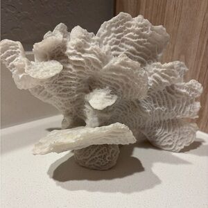 White Coral Decorative Piece